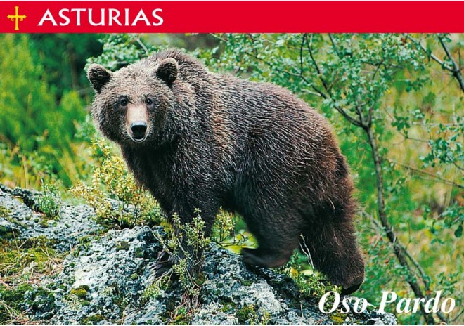 Postal de Asturias