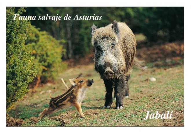 Postal de Asturias