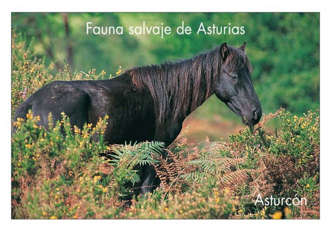 Postal de Asturias