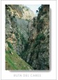 Postal de Picos de Europa