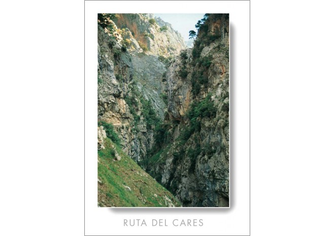Postal de Picos de Europa