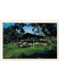 Postal de Asturias