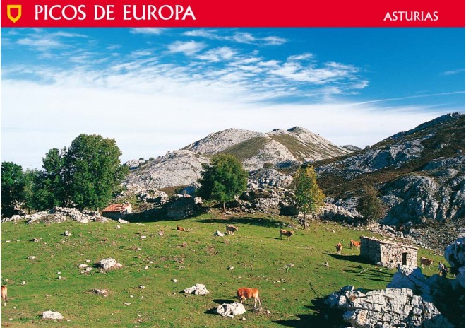 Postal de Picos de Europa