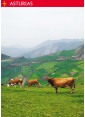 Postal de Asturias