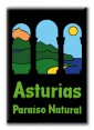 Imán de Asturias