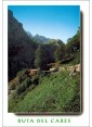 Postal Picos de Europa