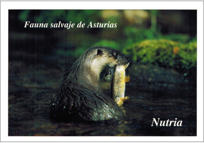 Postal de Asturias