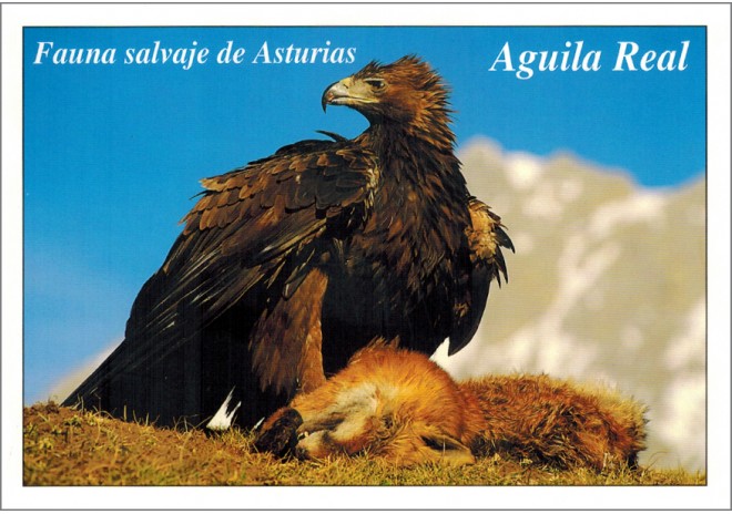 Postal de Asturias