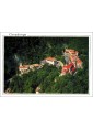 Postal de Covadonga